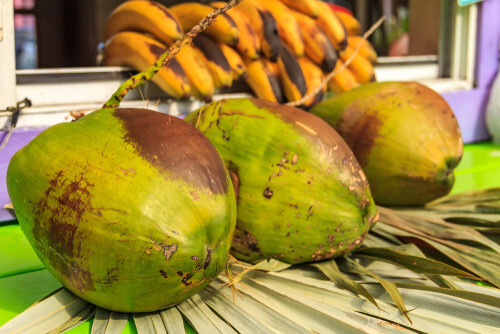 Coconut vendors admit hawking charge